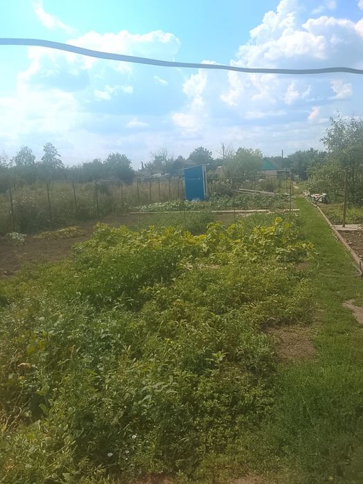 Срочно продам дачу