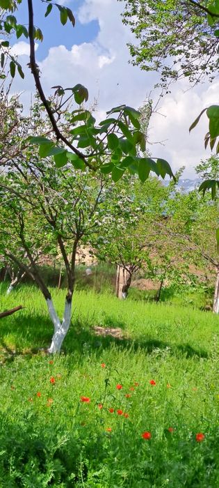 OQ TOSH 12 SOTIX YER SOTILADI xujjati joyida