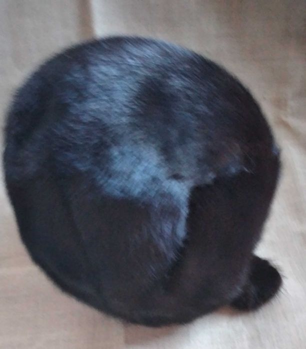 Продам норковую шапку