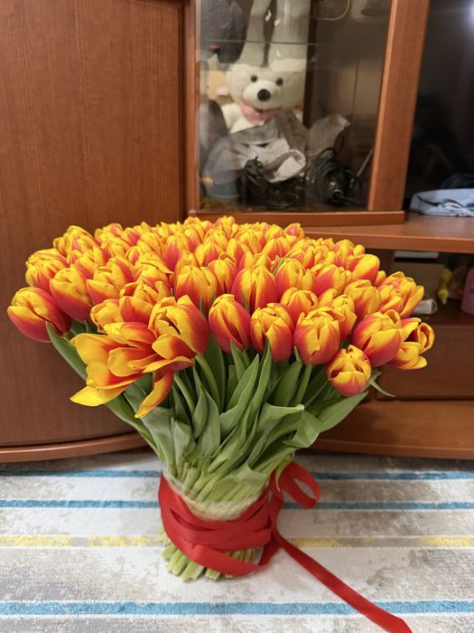 Гул бугін келген свежый тюльпан