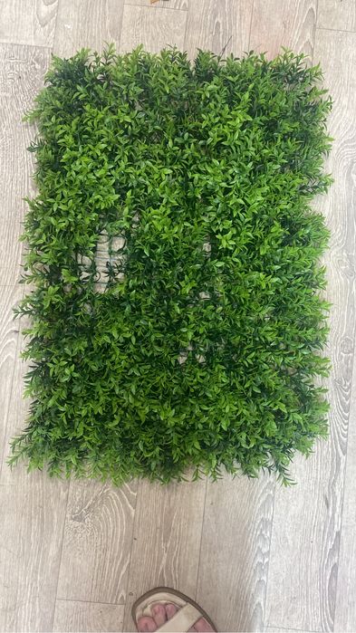 самшит , газон , искусственные коврик