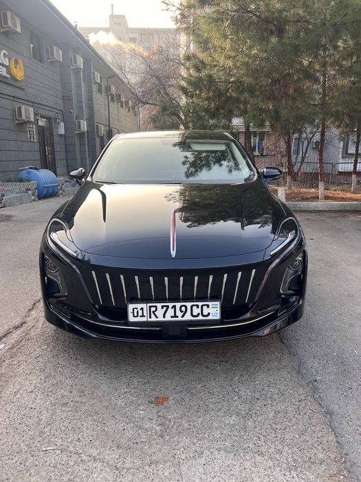 Hongqi eqm5 2024 yil 450 km