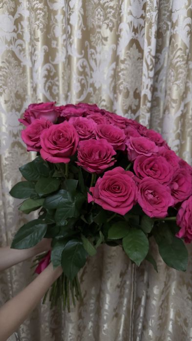 51 розы свежие продам