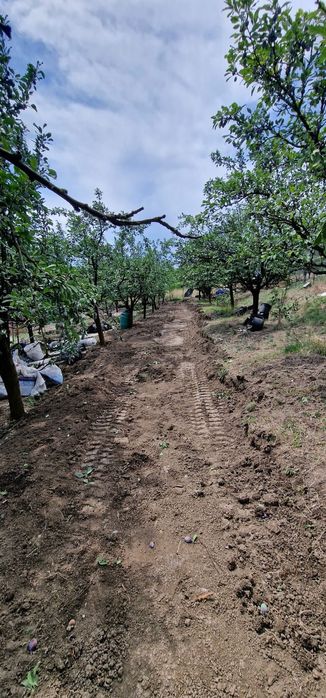 Închiriez Miniexcavator