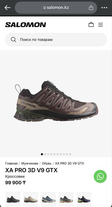 Оригинал Salomon XA PRO 3D V9 GTX