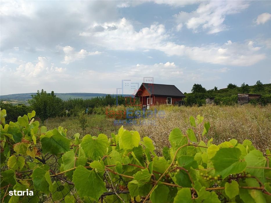 Intravilan - Tomesti - Teren si Cabana din Lemn