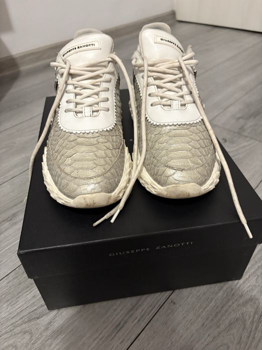 Giuseppe Zanotti Urchin Python