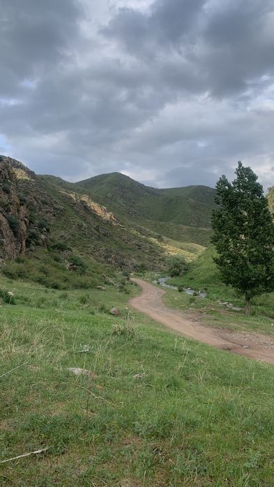 Участок 19,5 гектаров