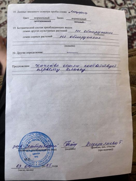 Семена люцерны Жонышка урыгы