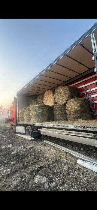 Baloti fan 250-500 Rotunzu 40 Fan or Lucerna.La TIR>RO Ferma chirie

Baloti se aduc pe garantie.
Uferim si cerem seriozitate. 
Nu ducem la BUCATA

Doa