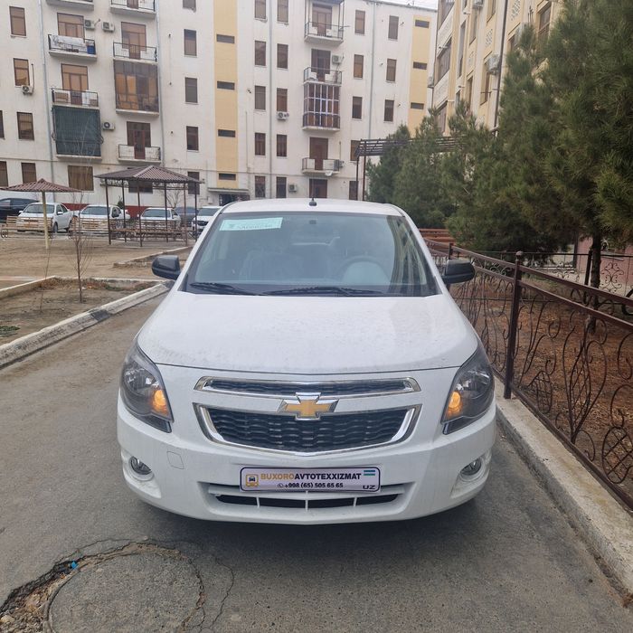 Cobalt midnight 2025 Aprel