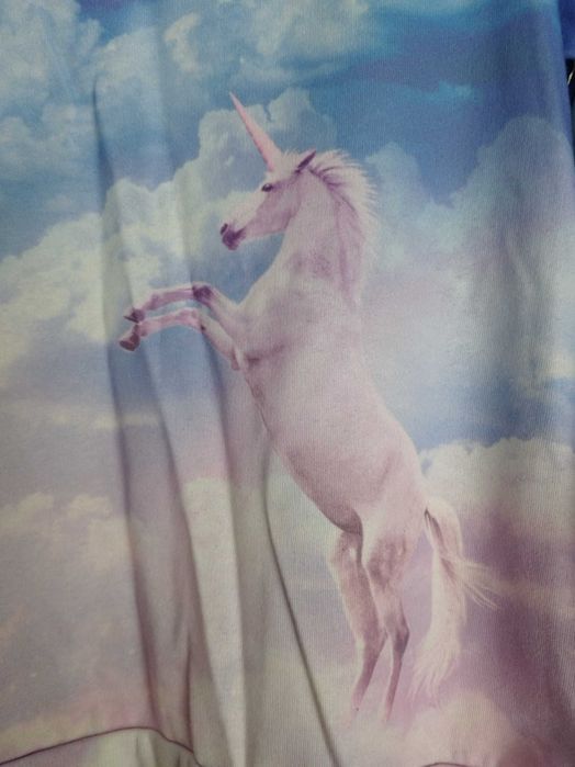 Hanorac cu unicorn H&M 170