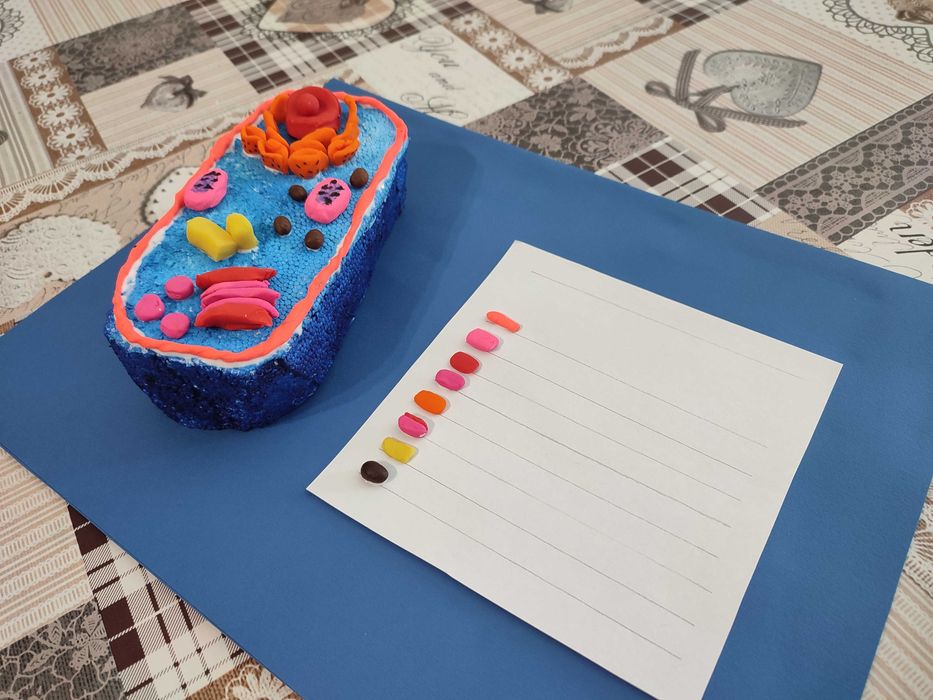 Проект за Левски