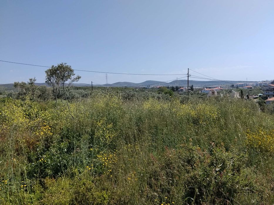Продава се парцел в район Макри, Александруполис