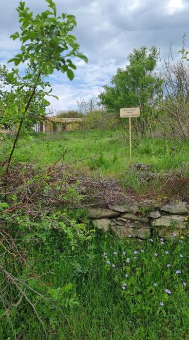 Продавам дворно място в с.Аврен - 700 кв.