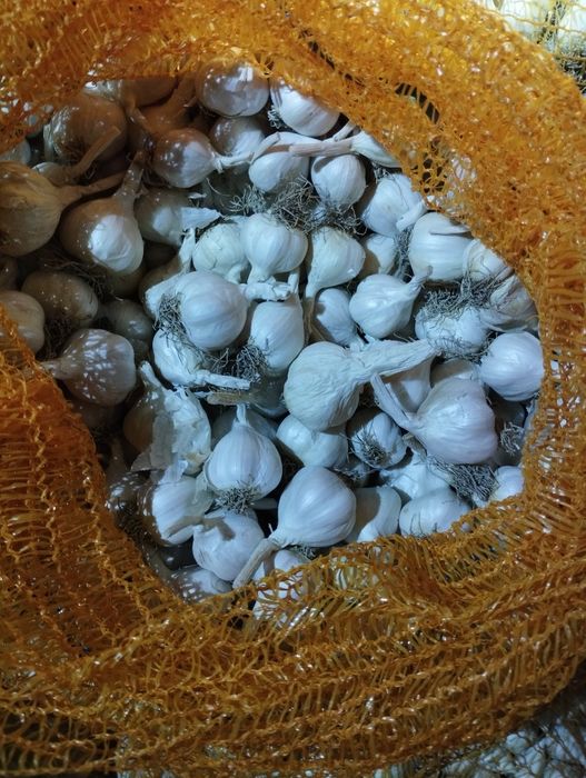 Livrare prin curier rapid