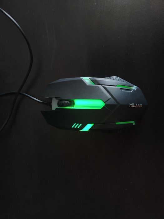 Мышь компьютерная