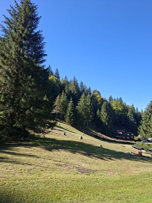 Teren intravilan la munte