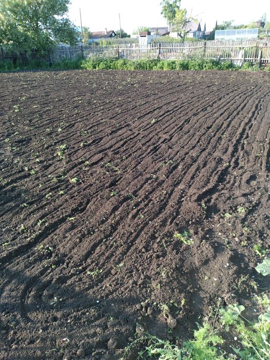 Ухоженый дачный участок