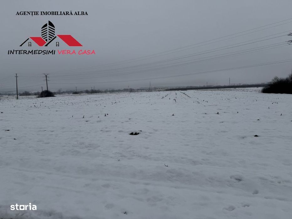 Teren intravilan 3900 mp de vanzare pe Centura Alba iulia ( konti )