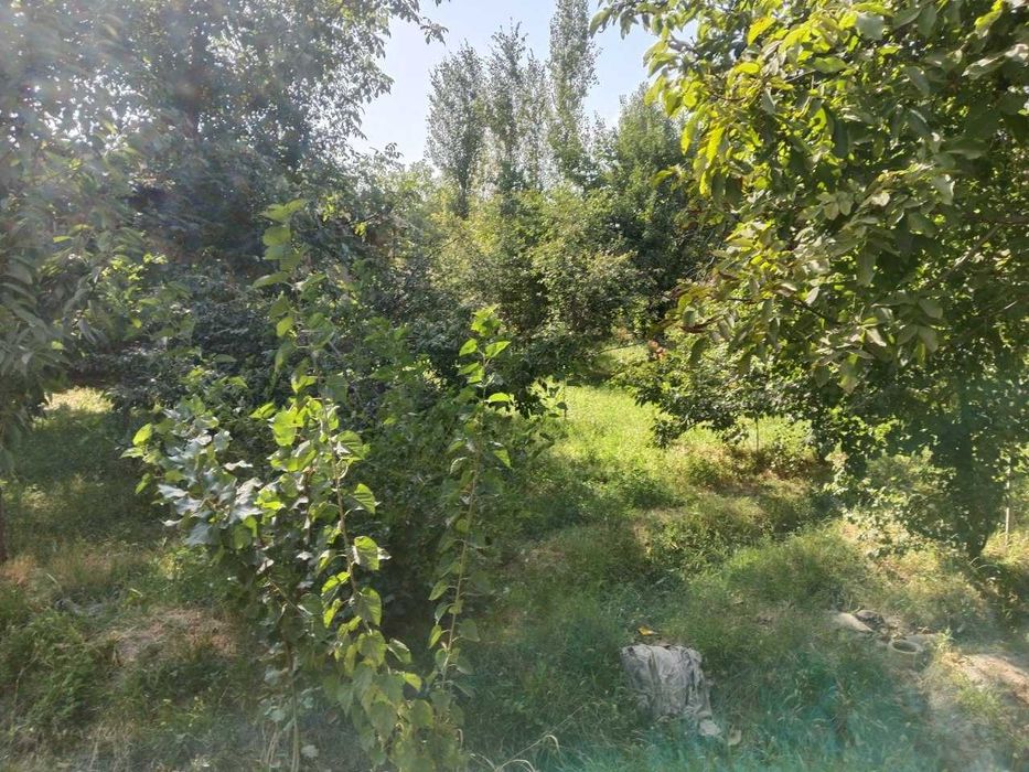 Yer sotiladi 5 sotix