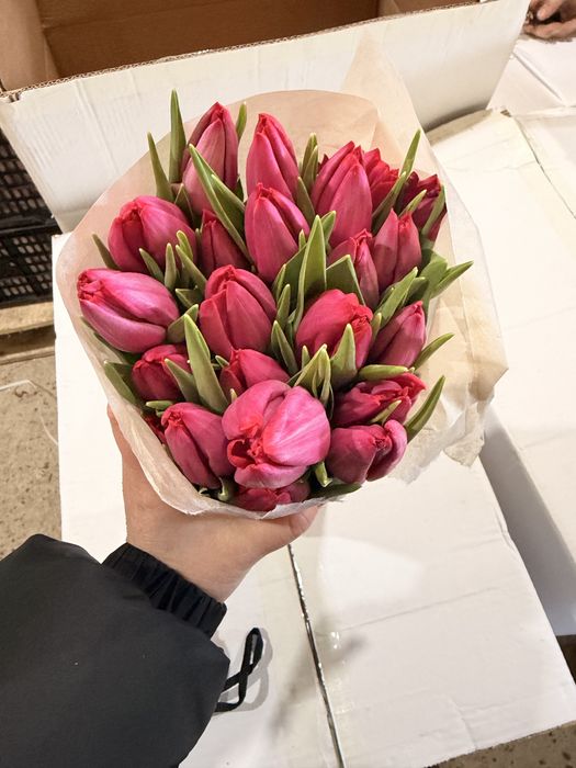 Тюльпаны оптом и розницу