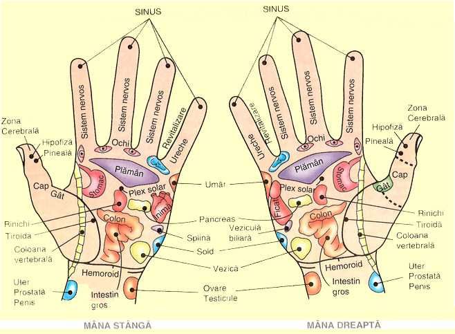 Masaj, Reflexoterapie și Cristaloterapie Iași