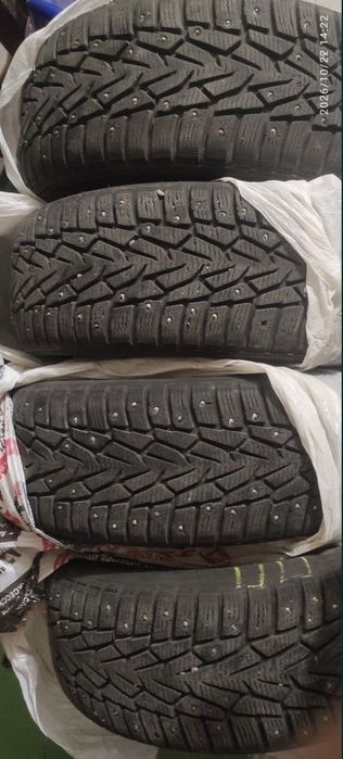 Шины ikon tyres(Nokian) R16 205/55