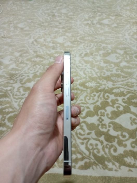 iPhone 13 Pro Silver