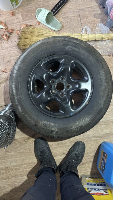 Ргопоттлллддлддьтрррм1(6)