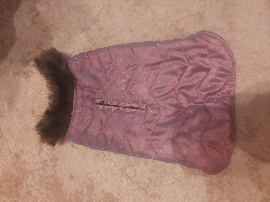 Hăinuțe căței talie mică