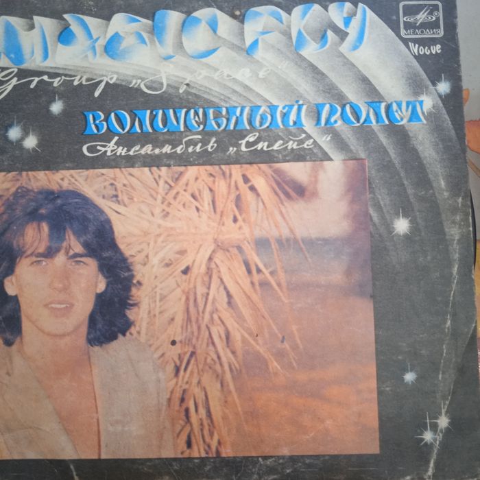 Пластинки виниловые