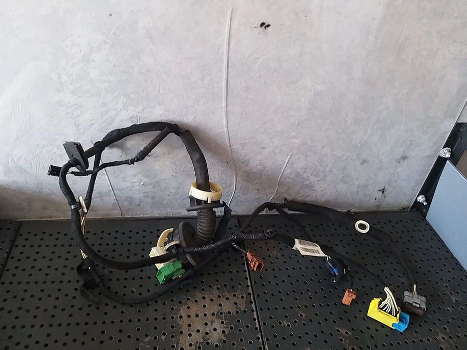 Cablaj instalatie electrica usa stanga fata citroen c3 2 9674236380