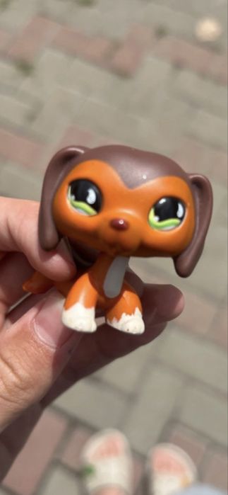 Littlest pet shop 675 originala