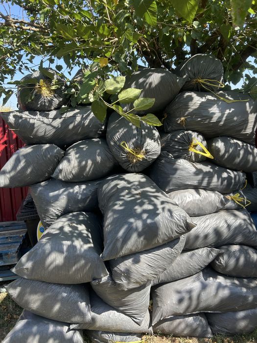 Donez gunoi de iepure