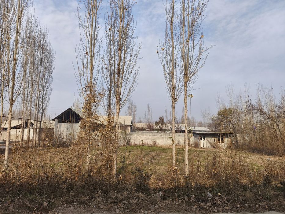 Chek zudlik bn sotiladi