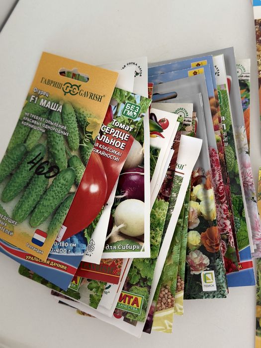 Рассада помидор 28 ростков