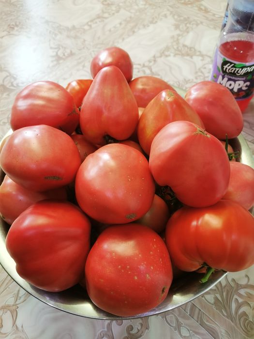 Продам домашние помидоры мясистые