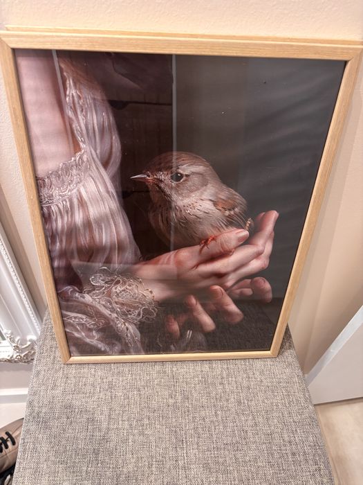 Комплект от две винтидж картини с рамка