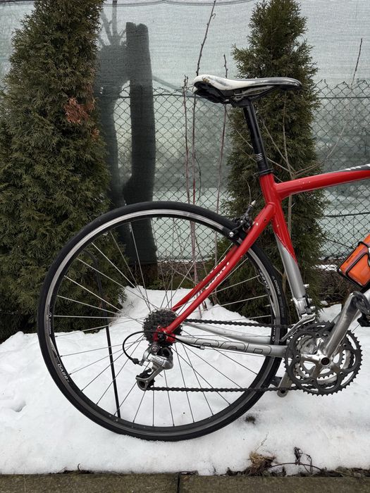 Cursiera Giant SCR3