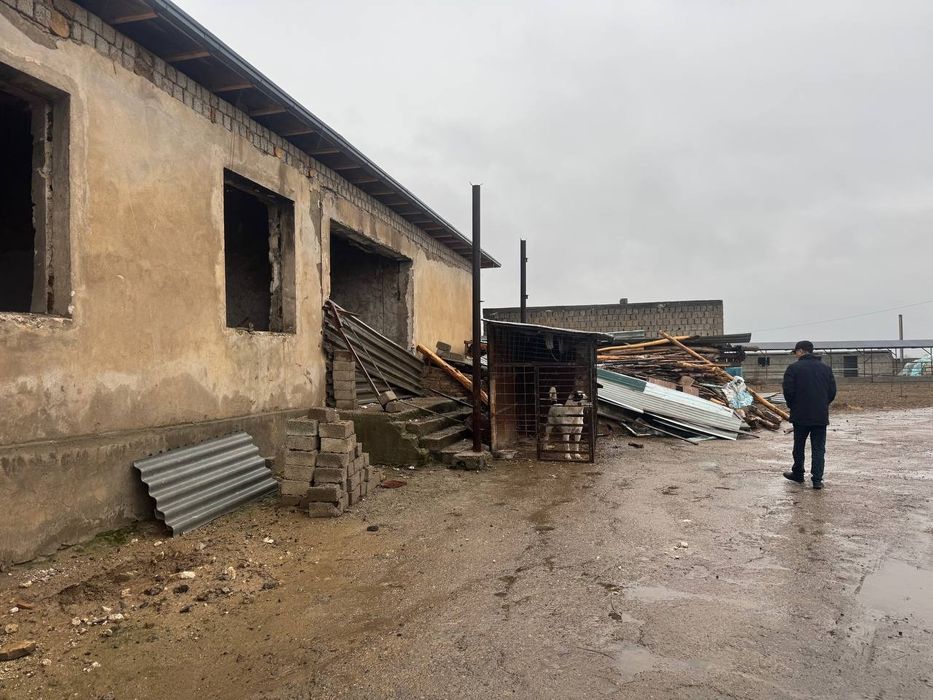 Ferma 1 gektar chinoz tumani