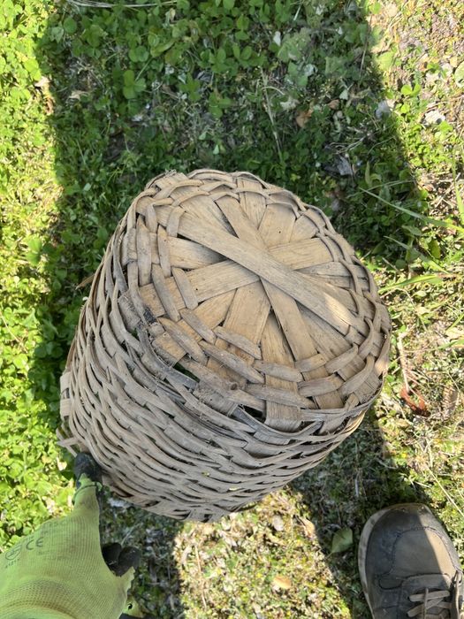 Стара Кошница два броя