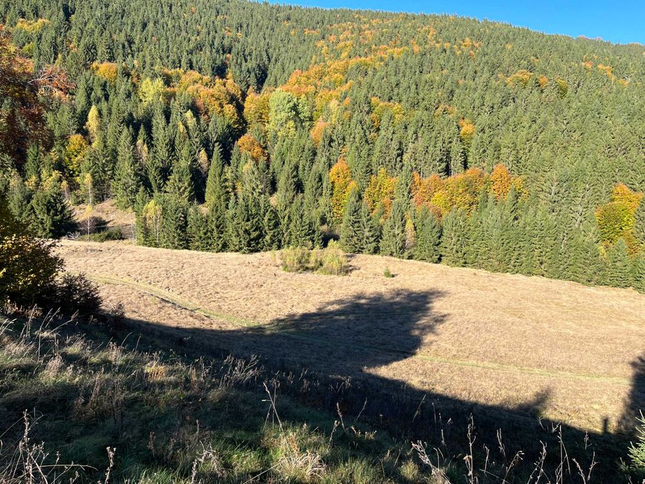 Vânzare teren intravilan la munte, Cătun Alunu, Lacul Drăgan (Cluj)