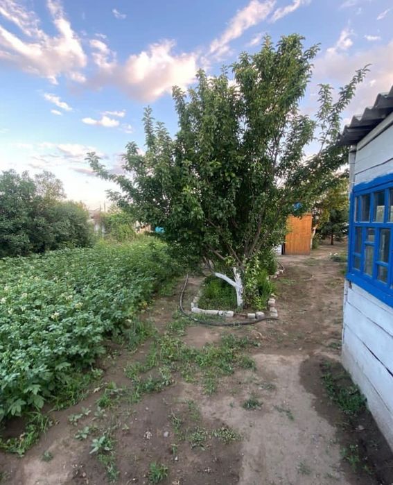 Продам  дачу летний вариант