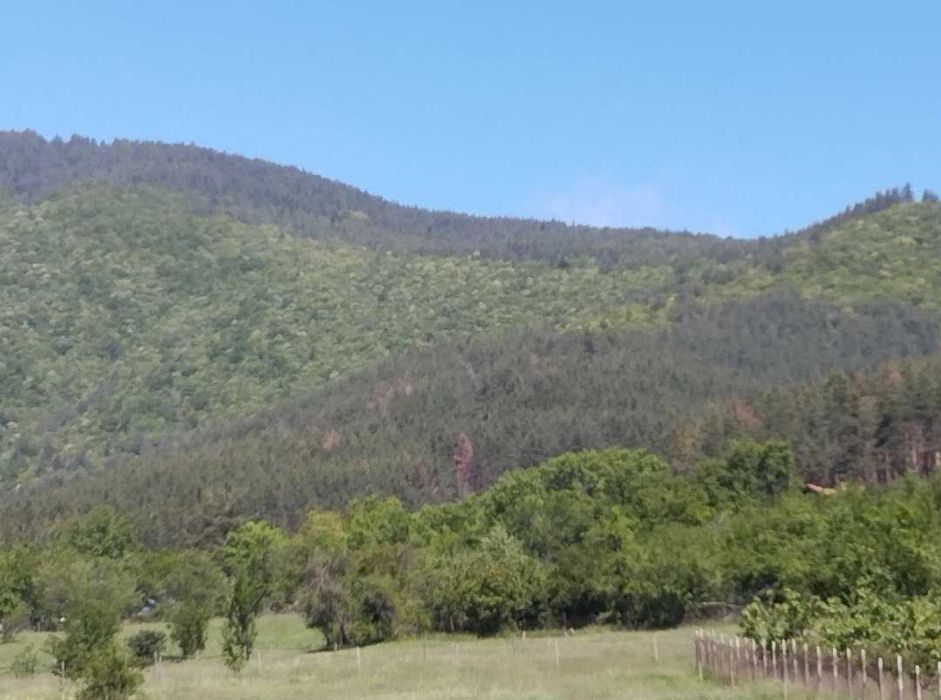 Продава се Земеделски имот в Велинград -  кв.м за 20 €/дка - Снимка #2