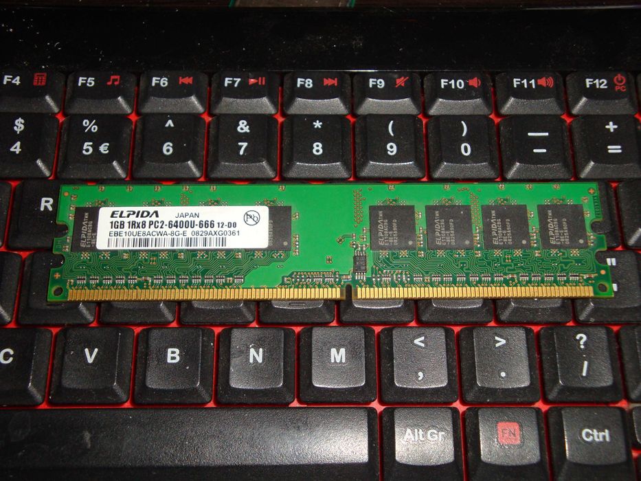 memorie ram ddr2 1gb ddr2 800 mhz elpida pc2 6400