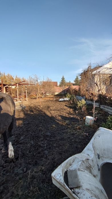 Продам дом с участком