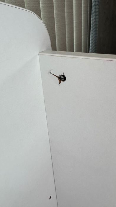 Детско легло с матрак