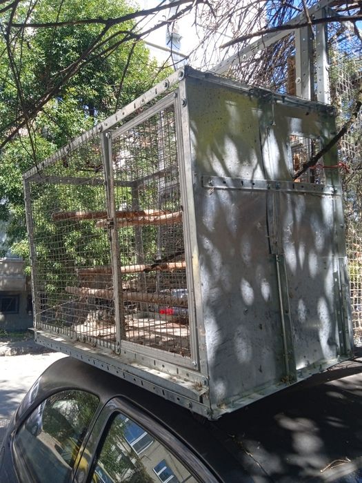 Воалиера клетка за голям папагал