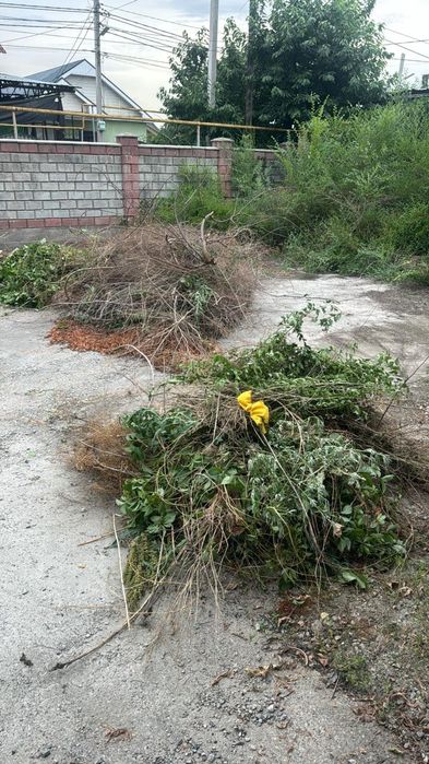 Вывоз мусора и хлам